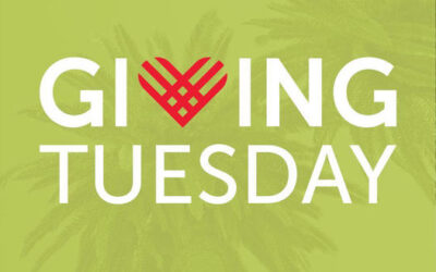 Tis the season to get radical… #GivingTuesday 2024