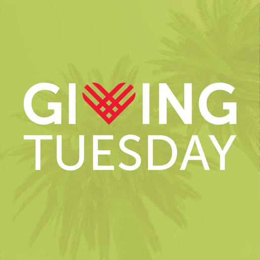 Tis the season to get radical… #GivingTuesday 2024